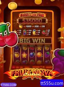 Descubra o Fascinante Mundo de FruitNovaSuper
